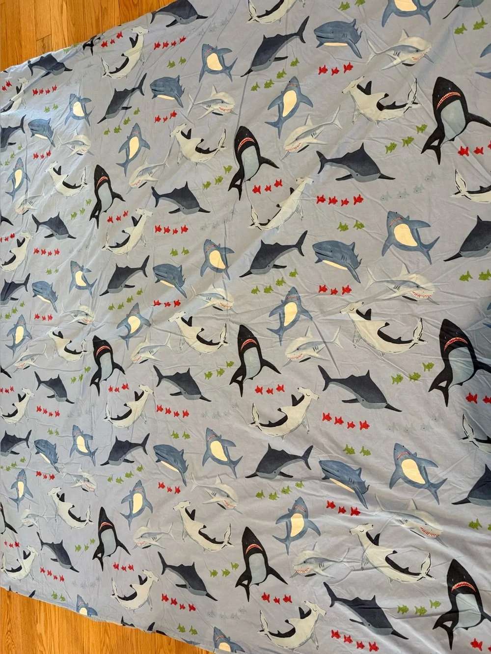 Pottery Barn Kids Shark Bite duvet cover featuring blue sharks